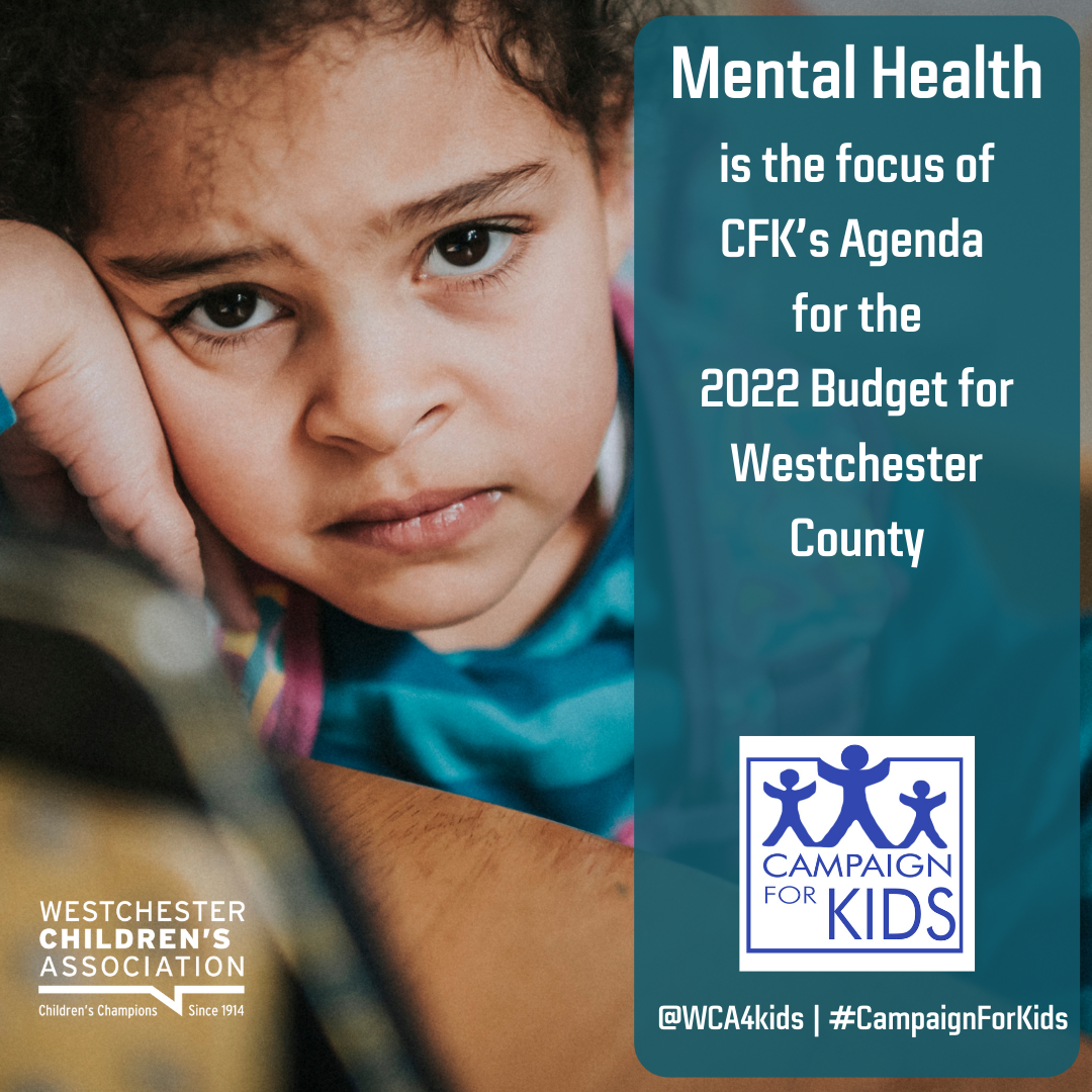 WCA eBulletin #23 - 2023 NYS Budget final push on key issues - Westchester  Children's Association - WCA4kids