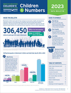 WCA Children By The Numbers - 2023 Data Bulletin Cover