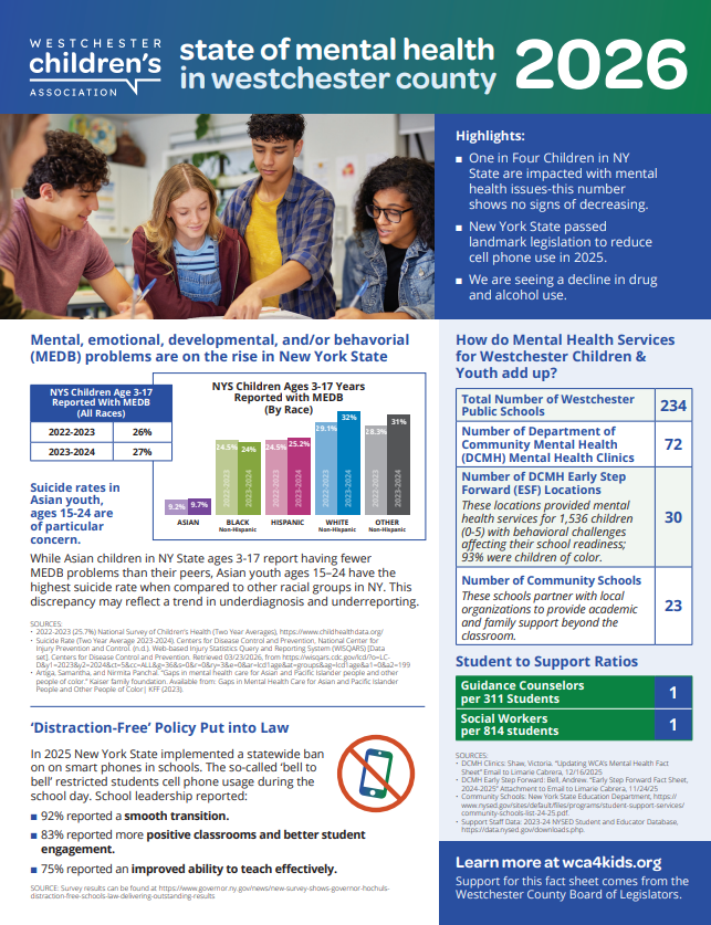WCA 2026 Mental Health Fact Sheet